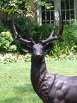 Pair Cast Bronze Outdoor Life Size Deer Statues MGSRB10069  