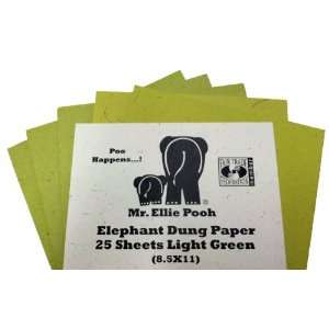  8.5x11 Elephant Dung Paper (25 sheets)  Light Green 