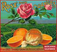 Pink Rose Crate Label Orange Fruit Shabby Wood Sign  