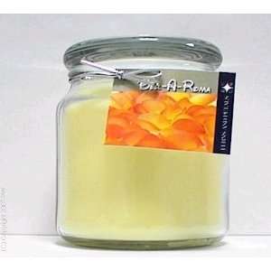   Made Scented Soy 16 oz Classic Jar Candle   Ferns & Petals Beauty