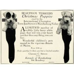  1925 Ad Kenduskeag Kennels Sealyham Terrier Puppies 