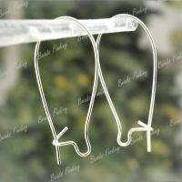   Cheaper Free Ship New Oval Iron Kidney Ear Wires Silver EF0024  