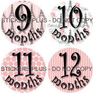 Baby Girl Monthly Onesie Stickers Pink Paris Poodle  