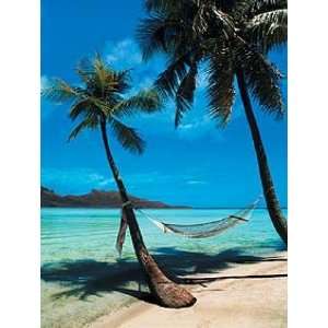 Strände   Hängematte Am Strand Von Bora Bora, Randy Faris Poster 