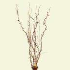  for 39 in. Natural Willow Battery Operated LED Lighted Branches