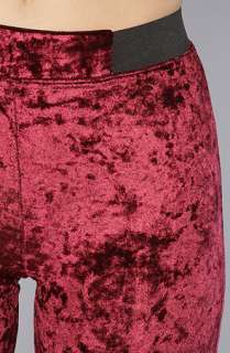 MINKPINK The Craft Velvet Legging in Wine  Karmaloop   Global 