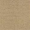 Rosecliff   Color Carton 15 ft. Carpet (priced by Square Yard)