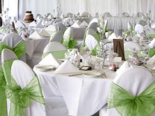 100 Sage Green Organza Chair Covers Sash Bow Wedding  