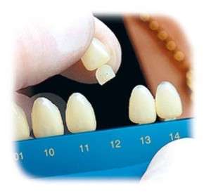 Dental Polycarbonate Temporary Crowns 5 pcs #10  