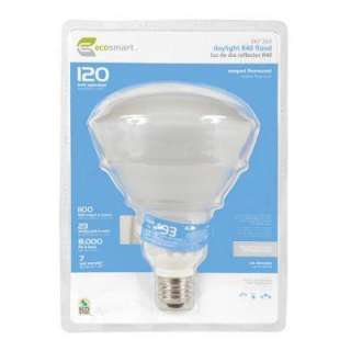 EcoSmart 23 Watt (120W) R40 Daylight CFL Light Bulb (1 Pack 