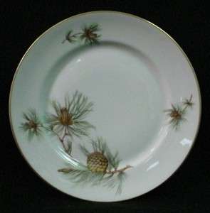 ROSENTHAL china PINE NEEDLES #3016 Dinner Plate  