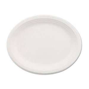  Chinet Paper Plate