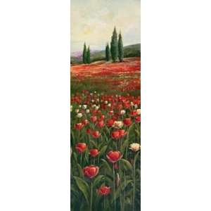   Range of Tulips II   Artist Pate   Poster Size 12 X 36 inches Home