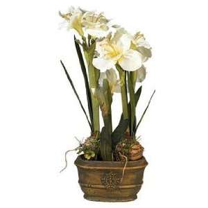  White Triple Amaryllis Flower Arrangement