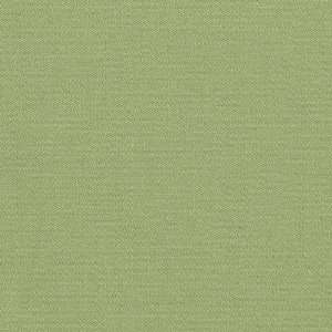 Wide Amy Butler Decorator Twill Sage Fabric By The Yard amy_butler 