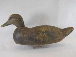 Black Duck Decoy by Animal Trap of Mississippi Solid with Long Stamp 