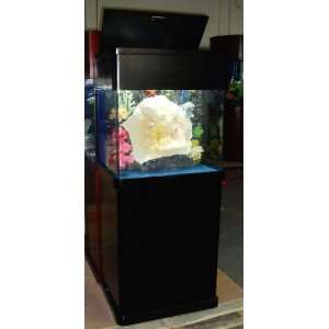 ready cube aquarium, complete with real wood cabinet stand and canopy 