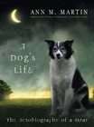The Autobiography of a Stray by Ann M. Martin (2005, Hardcover)  Ann 