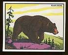Glacier Studio Browning MT Publisher Oversized Postcard National Park 