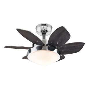   Quince Two Light 24 Inch Reversible Six Blade Indoor Ceiling Fan