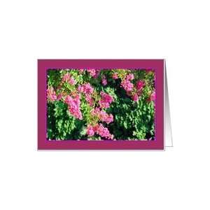  Pink Butterfly Bush Blossoms Blank Notecard Card Health 