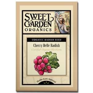  Cherry Belle Radish   Certified Organic Heirloom Seeds 