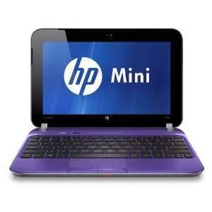    HP Mini 210 3040NR Netbook (Purple)