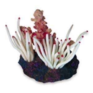  Aquarium Systems SeaGarden Anemone & Polyp White Plant