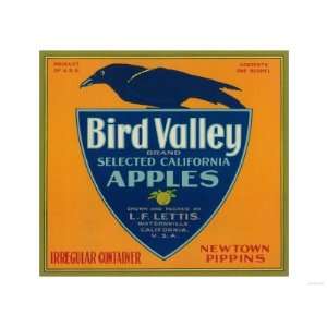 Bird Valley Apple Crate Label   Watsonville, CA Premium Poster Print 