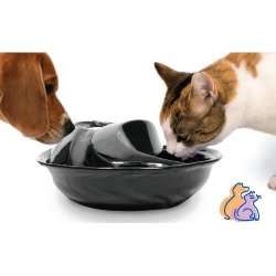   Pioneer Pet Ceramic Raindrop Drinking Water Fountain Cat Dog  