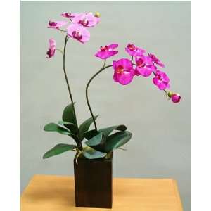  Silk Flowers   Mauve Phalenopsis Orchids in Wooden Box 