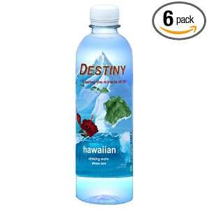 Destiny Deep Sea Water, 16.9 Ounce Grocery & Gourmet Food