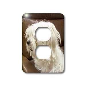 Jackie Popp Wildlife N Nature dogs   white dog   Light Switch Covers 