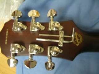 Epiphones Les Paul Plus Top Pro/FX has all the great features and 
