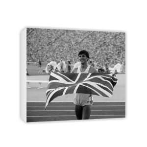  Sebastian Coe   Canvas   Medium   30x45cm