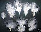 GROUSE SKIN FEATHERS FLY TYING FISHING CRAFTS  