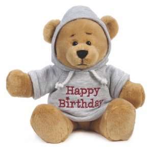  Ganz Message Hoodie Bear Happy Birthday Toys & Games