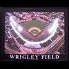 Wrigley Field Neon/LED Picture  