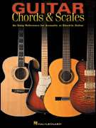 Guitar Chords & Scales Learn to Play Lessons Book NEW  