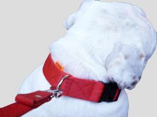 Nylon Webbing Dog Collar Adjustable 15 25 neck size Bulldog Pitbull 