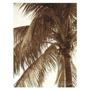 Palm Tree II by Rene Griffith. Size 19.75 inches width by 27.5 inches 