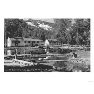  St. Bernard Lodge in Mill Creek, California Photograph 