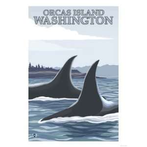  Orca Whales #1, Orcas Island, Washington Giclee Poster 