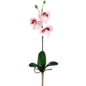  22 Handwrapped Silk Mini Phalaenopsis Orchid Plant Flower 