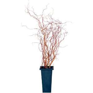   Potted Artificial Tropical Orange Curly Willow Plant