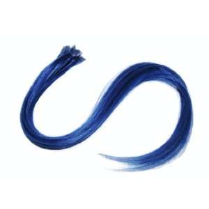  N R Hair Extensions 20in Blue Fusion Hair Extensions, 10 
