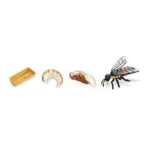  Safari Safariology Life Cycle Figures, in Honey Bee Toys 