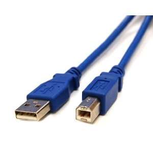  USB 2.0 CABLE   Type A Male to Type B Male   10 Feet (Blue 