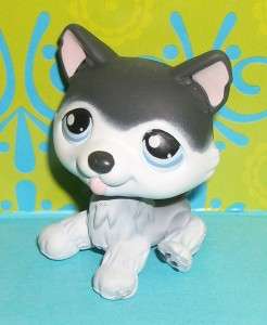 Littlest Pet Shop~#210 GRAY & WHITE HUSKY PUPPY DOG Blue Eyes RETIRED 