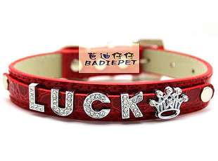 New Fashion Dog Cat Pet Personalized Collar 5 Colors 3 Sizes PD005 